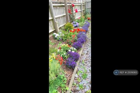 Borders Are Planted With Flowers