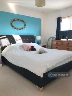 Bed1