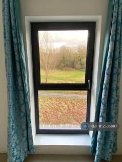 View From Master Bedroom
