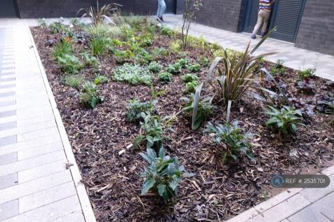 External Communal Garden