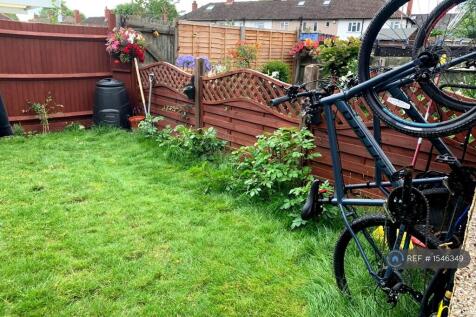 Back Garden