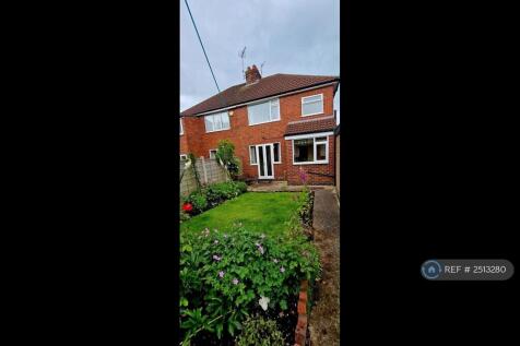 Back Garden 