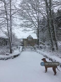 Winter View 