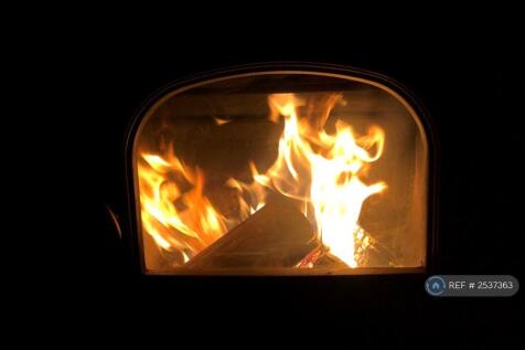 Log Fire In Living Room