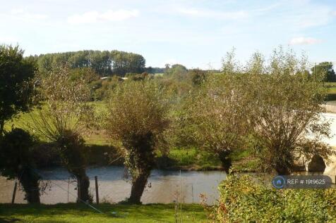 Looking Out From The Garden