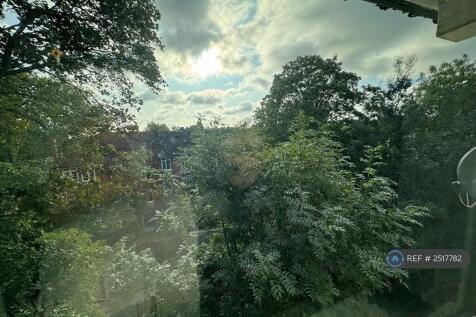 View From Master Bedroom