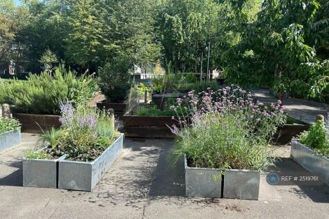 Communal Gardens