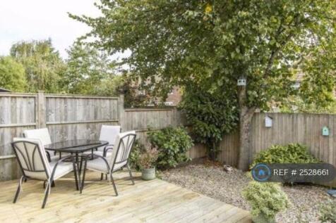 Low Maintenance Garden 