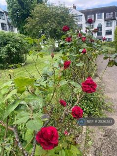 Communal Garden