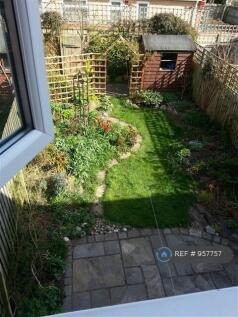 Back Garden 