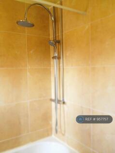 Mixer Shower