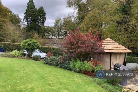 Shared Garden
