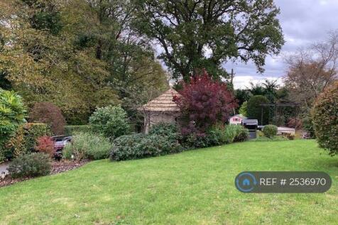 Shared Garden