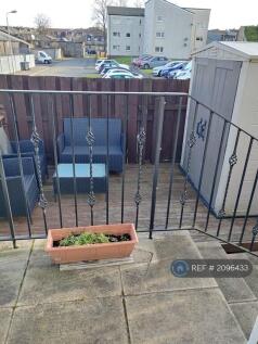 Back Garden