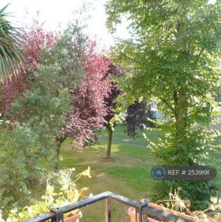 View From Balcony