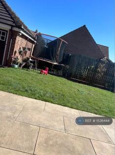 Garden Summer 
