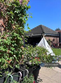 Garden Summer 