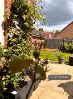 Garden Corner 
