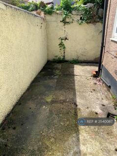 Back Garden.    