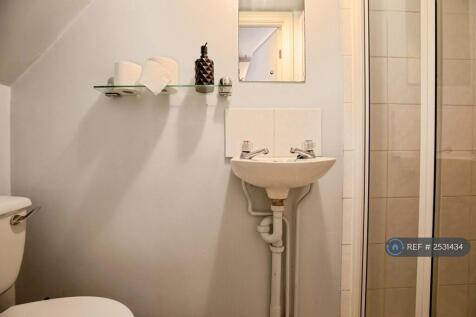 Downstairs Toilet/Shower