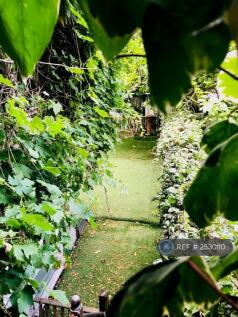 Back Garden 
