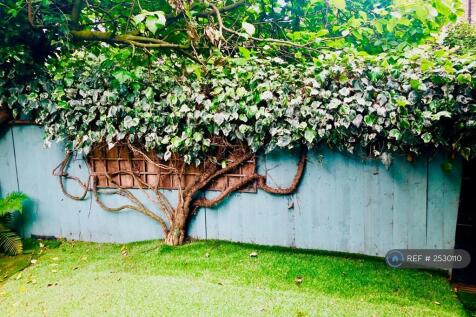 Back Garden 