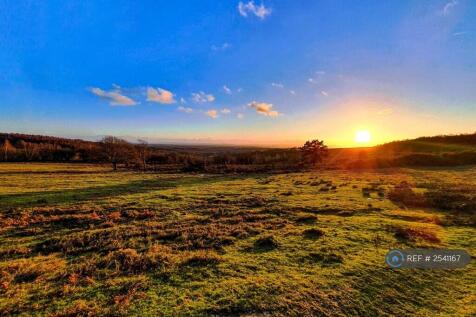 Ashdown Forest