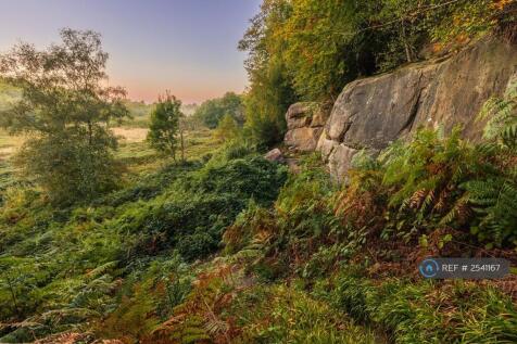 Harrison Rocks