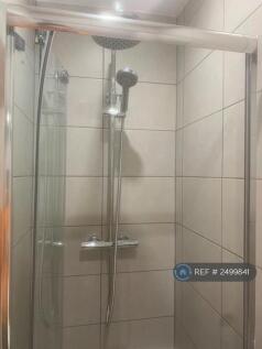 Downstairs Bathroom Shower