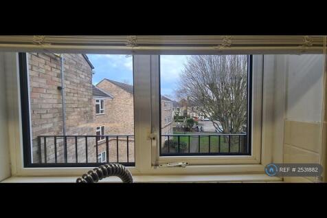 Peaceful View From Kitchen