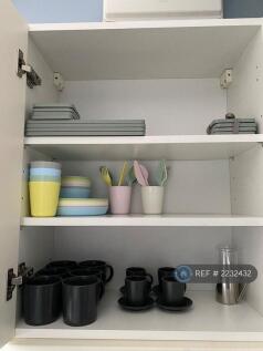 Cups &amp; More