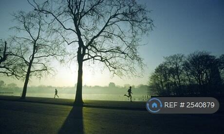 The Embankment Is Perfect For a Walk Or a Run