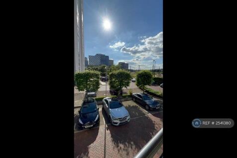 Lovely Afternoon Sun