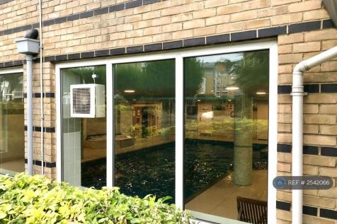 Indoors Swimming Pool In The Same Building 