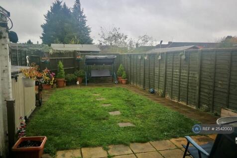 Back Garden