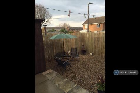 Low Maintenance Garden