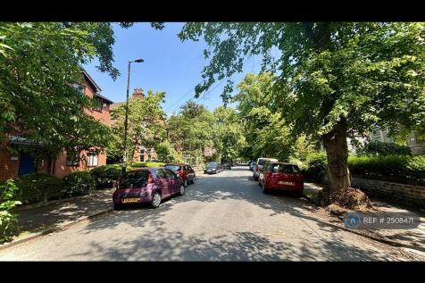 Leafy Street View