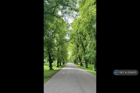 Alexandra Park