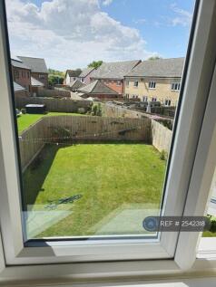 Garden View From Room 