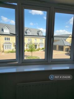 External Surrounding 