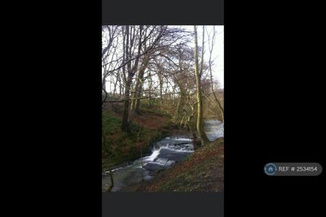 Holywell Dene On The Doorstep