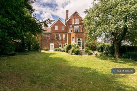 Back Garden