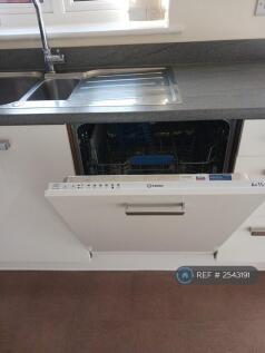 Kitchen Dishwasher