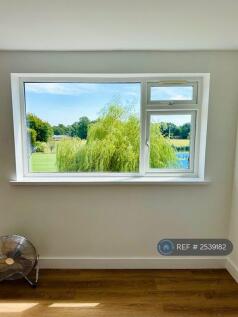 Lounge Window 2