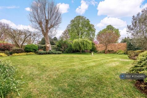 Back Garden