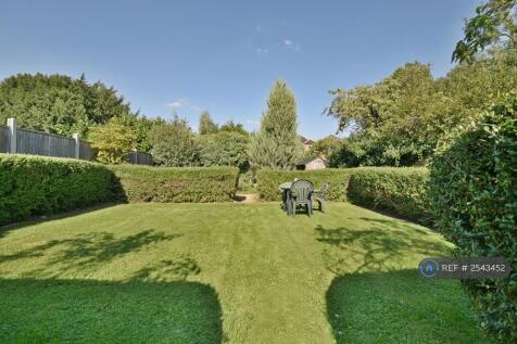 Well-Maintained Big Garden