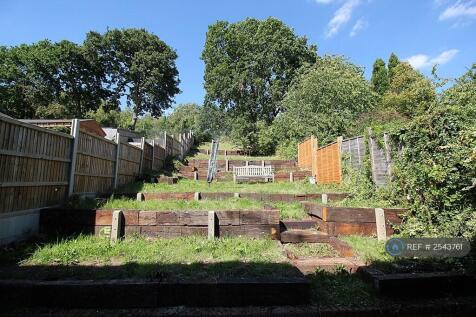 Back Garden