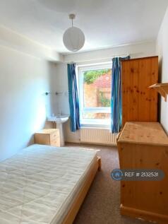 Bedroom 3 (Downstairs Facing Back)