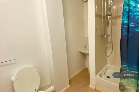 Shower Room (Downstairs)