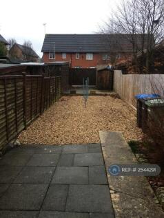 Garden / Patio Area